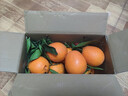 渝奉顺丰正宗重庆奉节脐橙薄皮大果现摘孕妇水果新鲜当季10斤20甜橙子 【中大果75-80】纽荷尔/推荐款 带箱子10斤 实拍图
