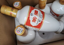汾酒 53度 白酒出口瓷汾500ml*6瓶(裸瓶装）清香型高度酒 53度 500mL 6瓶 实拍图