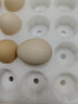 京鲜生【每日鲜蛋】无抗谷物鸡蛋30枚 3.18斤 当日产蛋 当日发货 实拍图