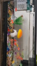 阔庭（KUOTING）鱼缸水族箱客厅桌面生态造景家用带灯制氧过滤鱼缸黑色【大号】 实拍图