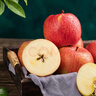 京鲜生 新疆阿克苏苹果 净重4.5斤 果径75-80mm 水果源头直发 实拍图