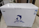 澳柯玛（AUCMA）323升单温冷柜家用减霜大冰柜 冷藏柜冷冻柜 卧式冰箱雪糕柜 一级能效 BC/BD-323NE 以旧换新 实拍图
