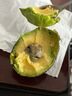 京鲜生 智利微催熟牛油果6粒装 单果130g起 生鲜水果 源头直发 实拍图