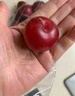 京鲜生 智利进口樱桃李4J级 900g礼盒装  新鲜水果 实拍图