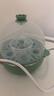 九阳（Joyoung）煮蛋器多功能智能蒸蛋器7个蛋量 ZD7-GE130（飞泉绿） 实拍图