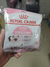 皇家宠物猫粮 幼猫猫粮K36-适用于12月龄50g*3 实拍图