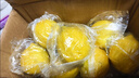 京鲜生 安岳黄柠檬 8粒 单果95g起 生鲜水果 实拍图