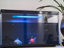 米家小米米家智能生态鱼缸还原自然生态补仓一次三月无忧出差旅行必备 实拍图
