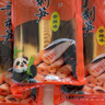 开袋即食500g手剥笋网红手扒笋手撕香辣老汤泡椒零食小竹笋新鲜笋 香辣味500克*3袋 实拍图