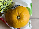 京地达柚子福建黄金葡萄柚西柚甜柚水果年货净重4.5斤单果250g+源头直发 实拍图