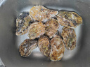 贝司令 鲜活乳山生态生蚝4XL 净重4斤 8-11只 生鲜源头直发年货送礼 实拍图