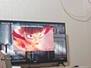 TCL雷鸟 【固定挂架送装一体】雀5 25款 43英寸电视 144Hz高刷 智能液晶超薄平板电视机43F295C 实拍图