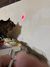 HELLOJOY逗猫激光笔逗猫棒玩具猫藓真菌检测 USB充电三合一红外线激光灯 实拍图