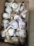 金乡新干蒜新鲜品质生鲜蔬菜调味料金乡农家自种大蒜小果3.5-4.5 新鲜干蒜5斤（含箱） 实拍图