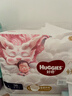 好奇（Huggies）皇家小龙裤拉拉裤L76片(9-14kg)尿不湿【30倍爆吸】 实拍图