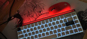 MelGeek【情人节礼物】MADE68ULTRA+ 全铝磁轴键盘TTC万磁王轴无畏契约电竞游戏客制化机械键盘蜜氪小蜜蜂 MADE68 Ultra+黑光【太阿轴】 实拍图