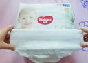 好奇（Huggies）小森林拉拉裤L40片(9-14kg)尿不湿心钻【透氧顶配更低敏】 实拍图