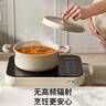 九阳（Joyoung）围炉煮茶电陶炉电磁炉家用新型电磁灶电池炉2200W大功率猛火低音低辐射多锅具适配火锅炉C22S-X9 实拍图