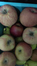 京鲜生 新疆阿克苏冰糖心苹果 净重9斤 果径75mm 新鲜水果 实拍图