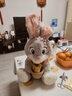 迪士尼（Disney）疯狂动物城正版朱迪玩偶兔子毛绒玩具娃生日礼物女七夕情人节礼物 实拍图