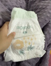 巴布豆（BOBDOG）新菠萝拉拉裤L码36片（8.5-11.5kg）尿不湿 超薄透气 干爽 实拍图