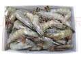 卖鱼郎先生青岛盐冻大虾净重3.6斤 20-25只/斤 白虾基围虾生鲜 虾类 实拍图