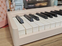 特伦斯折叠钢琴88键便携式电钢琴成人儿童电子琴重力度键盘V30pro钢琴 樱花粉+专用琴包 实拍图