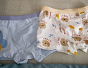 尼多熊儿童内裤男童中小童四角平裤棉裤男宝婴幼儿小男孩平角短裤 L码 实拍图