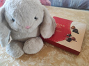 熊猫熊小兔子玩偶兔邦尼公仔毛绒玩具陪睡布娃娃儿童生日女生跨新年礼物 实拍图