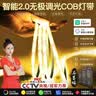 希尔登已接入米家APP智能三色COB灯带自粘24V低压线性灯客厅led氛围灯带 10米灯带+3C认证智能电源【2.0升级版】 实拍图