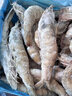 鲜京采 厄瓜多尔白虾 净重3斤/盒 特大号20-30规格   30-45只/盒 实拍图