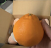 京鲜生 四川春见耙耙柑 净重10斤 单果180g起 生鲜水果桔子柑橘礼盒 实拍图