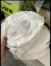 babycare金山茶花拉拉裤XL34片(12-17kg)婴儿尿不湿超薄透气新生柔花苞裤 实拍图
