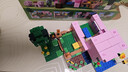 乐高（LEGO）积木我的世界21268 猪宝宝房屋男女孩儿童玩具生日情人节礼物装饰 实拍图