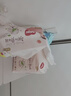 好奇（Huggies）铂金装小桃裤成长裤XXL74片(15kg以上)尿不湿【透爽散热】 实拍图