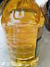 金龙鱼 食用油 非转基因 纯正玉米油5L  实拍图