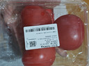 番茄约500g 实拍图