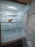 容声253L三开门小冰箱小户型超薄一级能效风冷无霜变频节能家用以旧换新璀璨金BCD-253WD16NPA国家补贴 实拍图