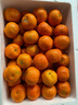 京觅四会砂糖橘新鲜水果柑橘沙糖桔 净4.5斤 单果45-55mm源头直发包邮 实拍图