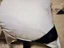 康尔馨枕头【希尔顿好睡枕】抗菌成人护颈家用枕芯 48*74cm 白色 实拍图