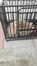 喵先生狗笼子 狗笼小中大型犬加粗加固金毛拉布拉多一体带厕所分离笼子 升级六面全方管【110*75*90cm】90斤内适用 实拍图