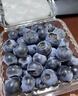 佳沃（JOYVIO）甜蜜花香云南蓝莓 18mm+2盒装约125g/盒 年货水果 源头直发 实拍图