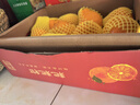 京鲜生 四川春见耙耙柑 净重8斤  单果270g起 生鲜水果柑橘桔年货礼盒  实拍图