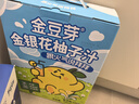 金豆芽金银花柚子汁儿童零食饮料饮品小孩果汁年货礼盒100ml*22袋 实拍图