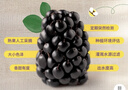 怡颗莓Driscoll's怡颗莓 黑莓125g 实拍图