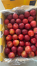 京鲜生 智利进口樱桃李4J级5斤礼盒装 年货礼盒 送礼 新鲜水果 实拍图