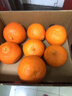 京鲜生 爱媛38号果冻橙 净重8斤装 单果230-280g 生鲜水果桔子年货礼盒  实拍图