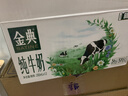 伊利金典纯牛奶整箱 200ml*12盒 3.6g乳蛋白 原生高钙 年货礼盒装 实拍图