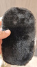 【十万爆品】家用擦皮鞋软毛手套去污皮鞋擦鞋布抛光鞋刷洗车手套 【体验装】1个 实拍图