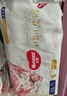 好奇（Huggies）皇家小龙裤拉拉裤L76片(9-14kg)尿不湿【30倍爆吸】 实拍图